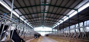To δημοτικό σφαγείο Φερών υποδομή για την ανάταξη της κτηνοτροφίας στον Νότιο Έβρο