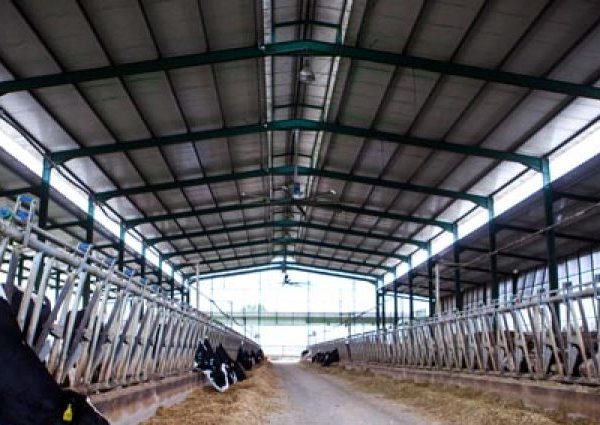 To δημοτικό σφαγείο Φερών υποδομή για την ανάταξη της κτηνοτροφίας στον Νότιο Έβρο